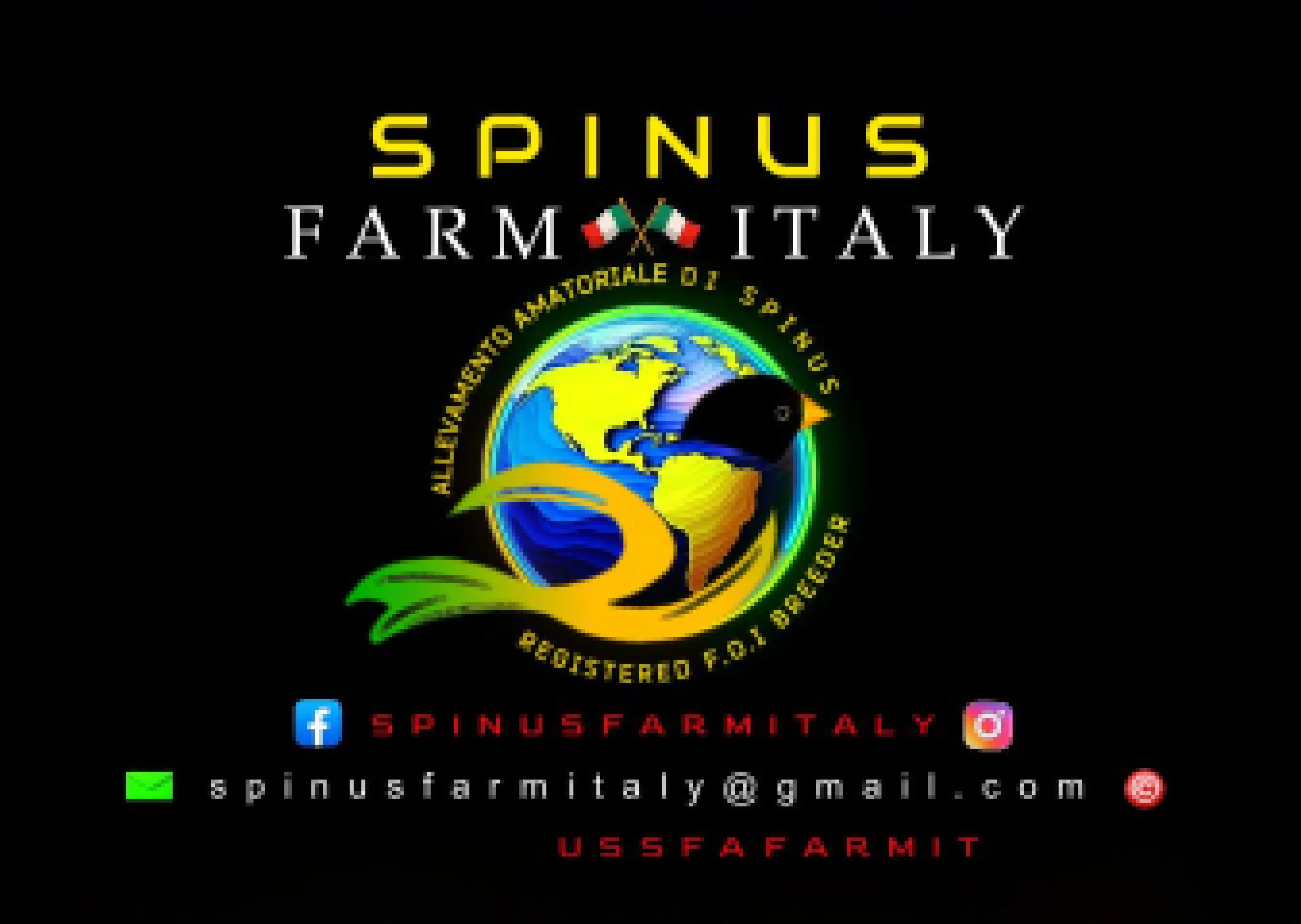 Spinus Farm Italy mark — source artwork Spinus Farm Italy mark — source artwork